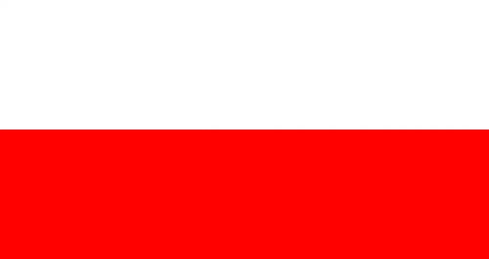 music-is-life-international-music-competition-polish-flag